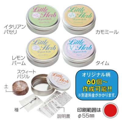 リトルハーブ137097